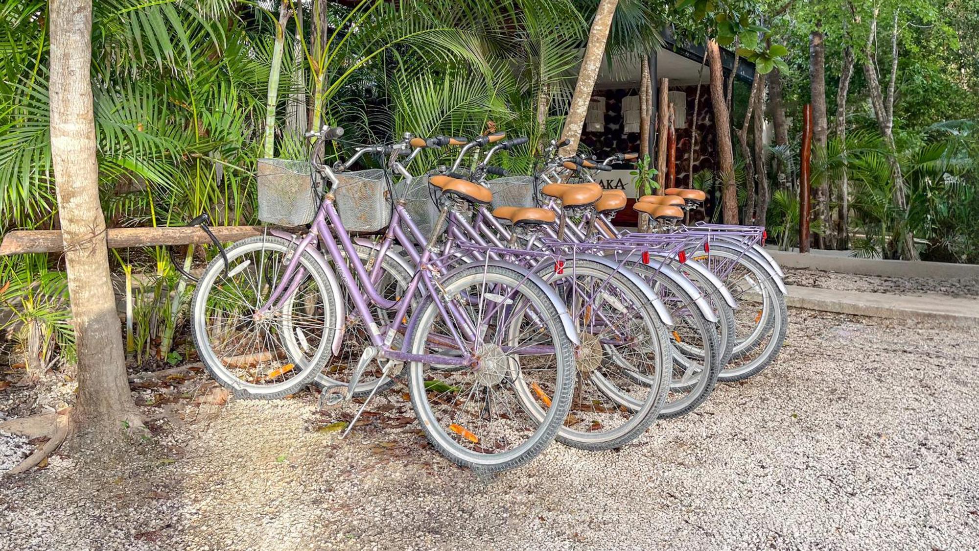 Hotel Amaka Calma Tulum Exterior foto